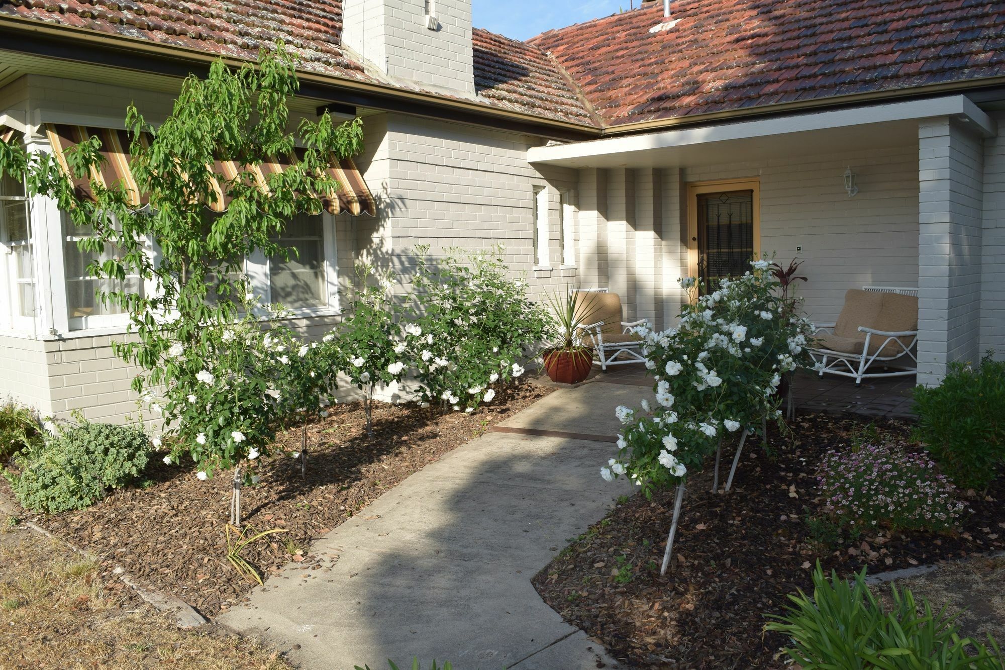 Benson House&Benson Lodge Benalla Exterior foto